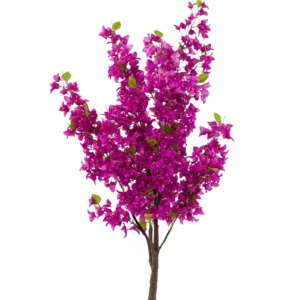 Bougainvillea tree purple 145 cm