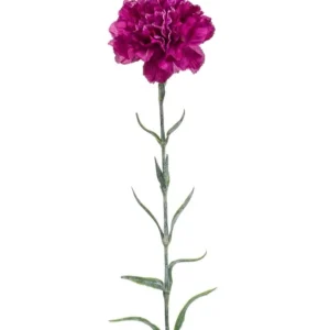 Dianthus spray purple 67 cm
