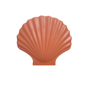 Servethouder schelp - oranje