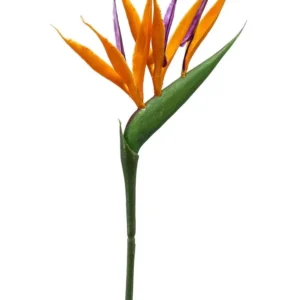 Strelitzia mini spray 65 cm orange