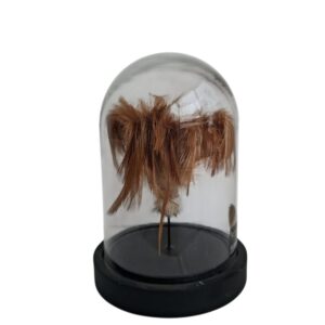 Stolp met plantje - hoogte 17 cm